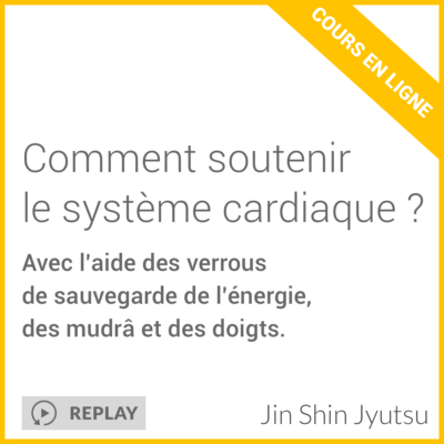 Comment soutenir le système cardiaque