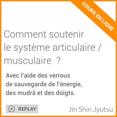 comment soutenir le système articulaire et musculaire ? cours en ligne