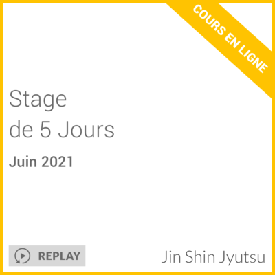 stage de 5 jours - cours en ligne