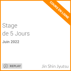 stage de 5 Jours - cours en ligne